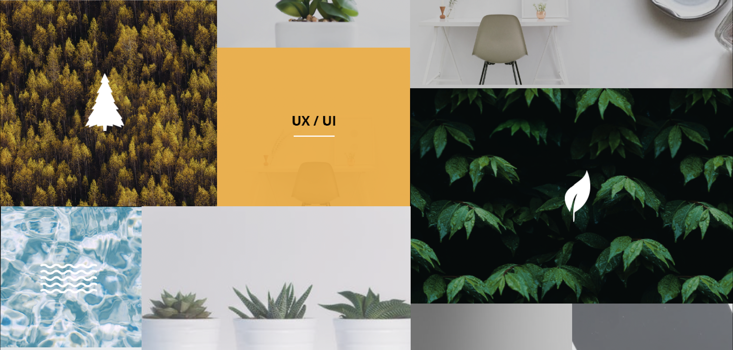 UX/UI